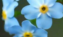 赞美幸福生活的句子