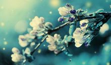 结婚纪念日的祝福语