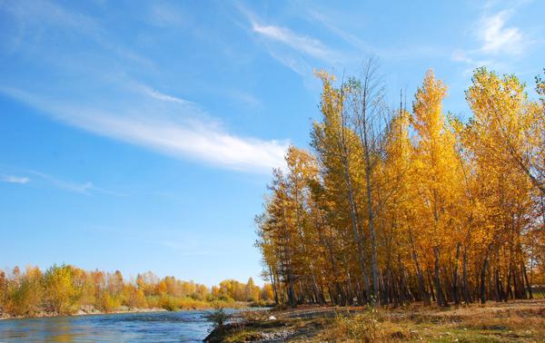 并在数千个世界中扮演这个角色