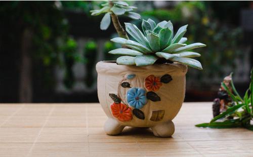 编辑编辑了一些关于家庭感情的漂亮句子