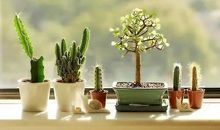 用来形容钞票大于亲情的句子