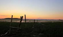 对一个地方失望透顶的句子