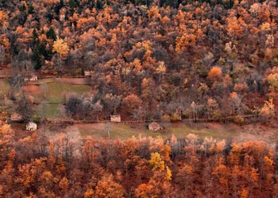 是因为他们相信自己能够做到
