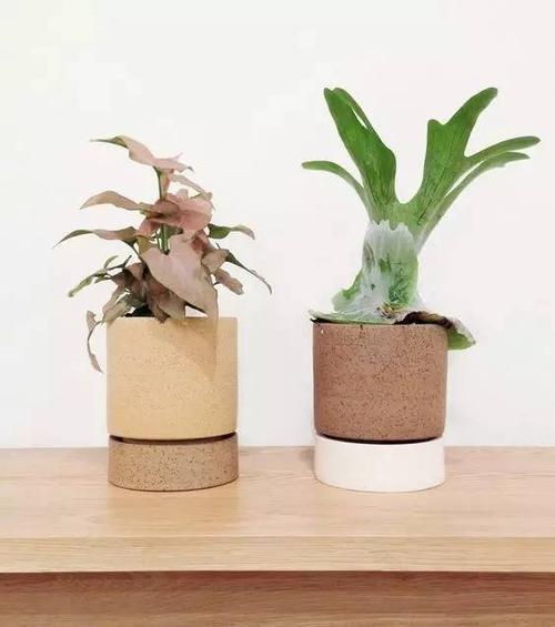 并谈论了他们的心情