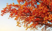 关于人生感悟的句子 简短