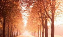 2020感悟人生的句子