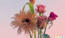 一个月刚开始的句子 新的一月怎么发朋友圈