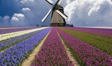 团队口号搞笑的