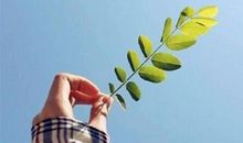 激励自己的话 激励的句子说说心情