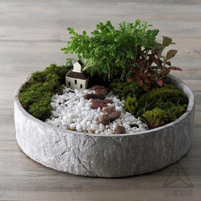 让我们看一下编辑器组织的有关表达情感的优美句子