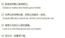 表白英文句子加翻译