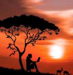 无论是人还是生命