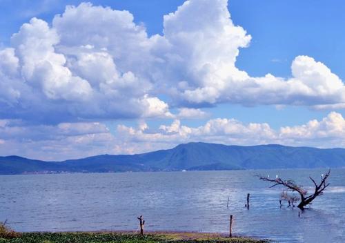 我会带您去最好的神经病医院