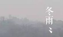 关于冬雨的抒情句子