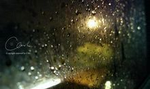 对家人感觉失望的句子