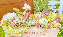 幸福的说说短句 幸福说说甜蜜心情短语