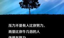 100句正能量句子