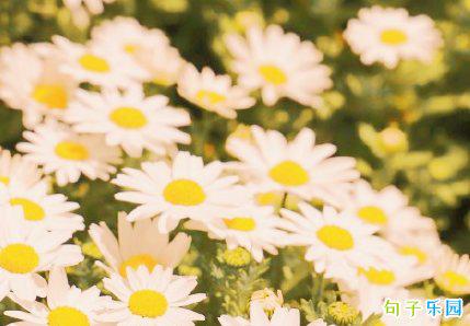 清明节即将到来