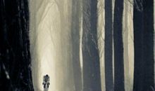 对待工作失望的句子