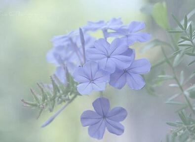 你默默地避开我