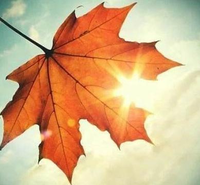 无法理解的弱点必须始终保持强势