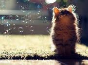 我最害怕对他人感到失望