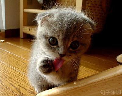 他的母亲拒绝让他抽烟