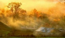 关于乡村的优美句子