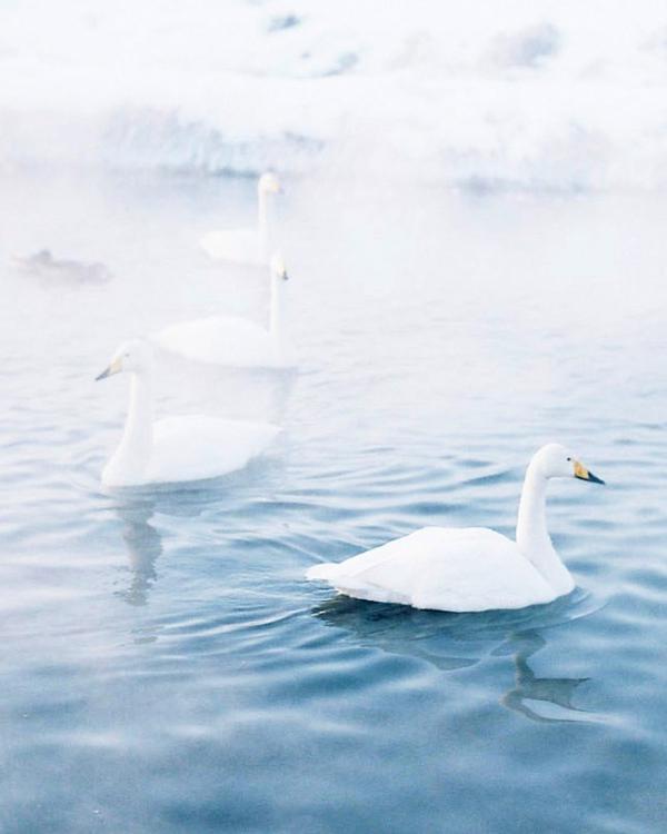 灵魂鸡汤的故事给你希望和积极的能量