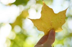 我认为最好的爱只是内心和心灵的问题