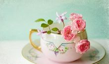 让女人说说开心的句子大全集