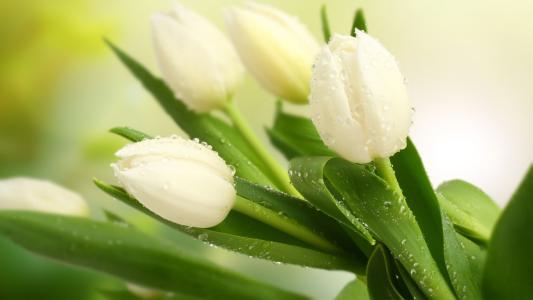 编辑编辑了一些关于家庭孝道和孝道的句子