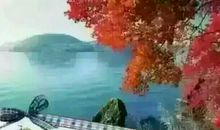 关于珍惜幸福的句子