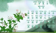 描写夏天的雨的句子