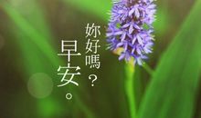 积极向上阳光的早安心语 早安心态正能量句子