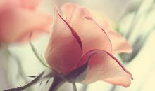 你要开心点的句子