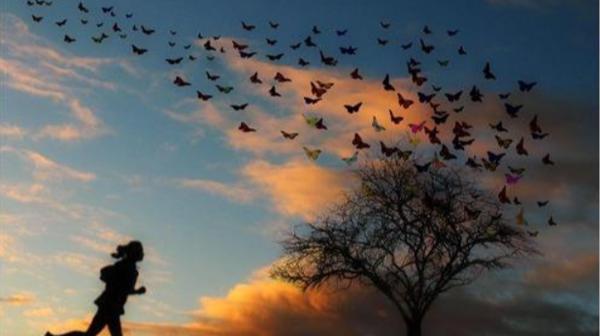 优美英语句子 1