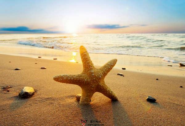 优美英语句子 0