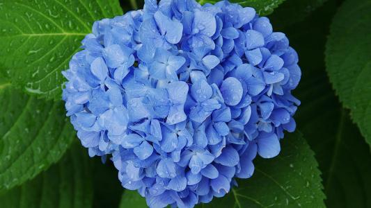 家庭之爱需要我们珍惜