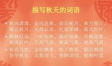 描写校园秋天的句子