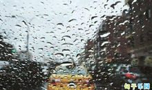 描写雨天的好句子摘抄 描写下雨时的情景的句子