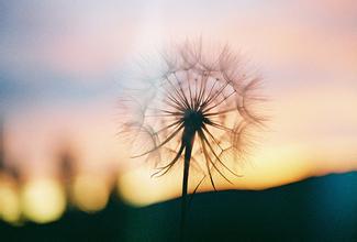    关于业力的业力20句话（8）  1