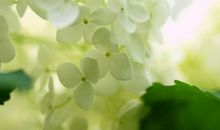 珍惜亲情的句子说说心情