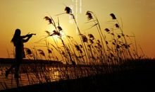 心静工作的句子