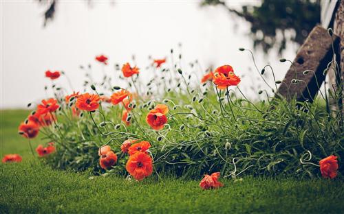 祝一线防疫医务人员