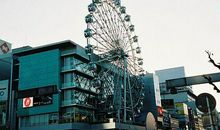 形容珍惜母爱亲情句子