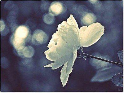 我无法摆脱路人在你生活中的角色