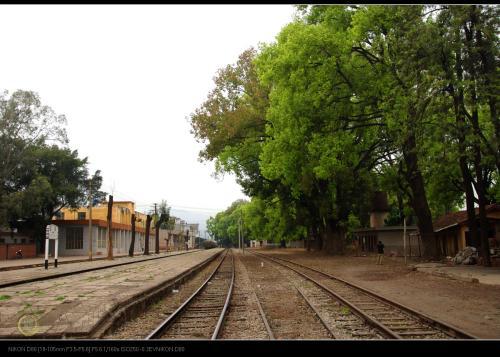 让我们看一下编辑编撰的赞美鲜血和家庭之爱的句子