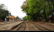 歌颂血脉亲情的句子