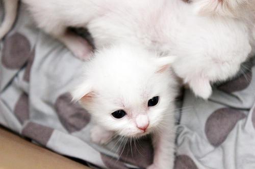 自由和无忧无虑